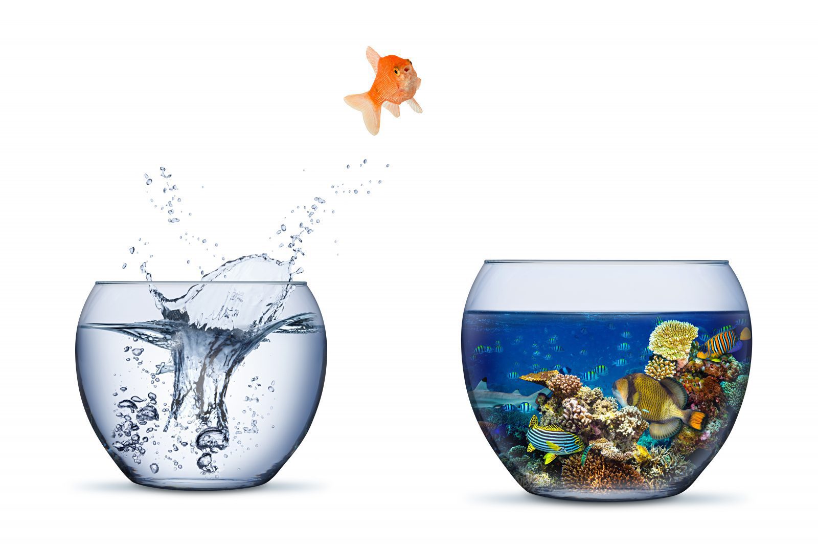 Why B2B companies are bringing their creative efforts in-house?