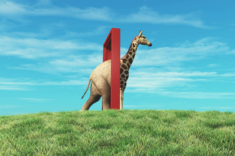 Gain and Maintain Change Buy-In with Storytelling