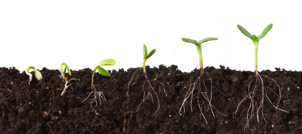 Building Growth Function From Ground Zero
